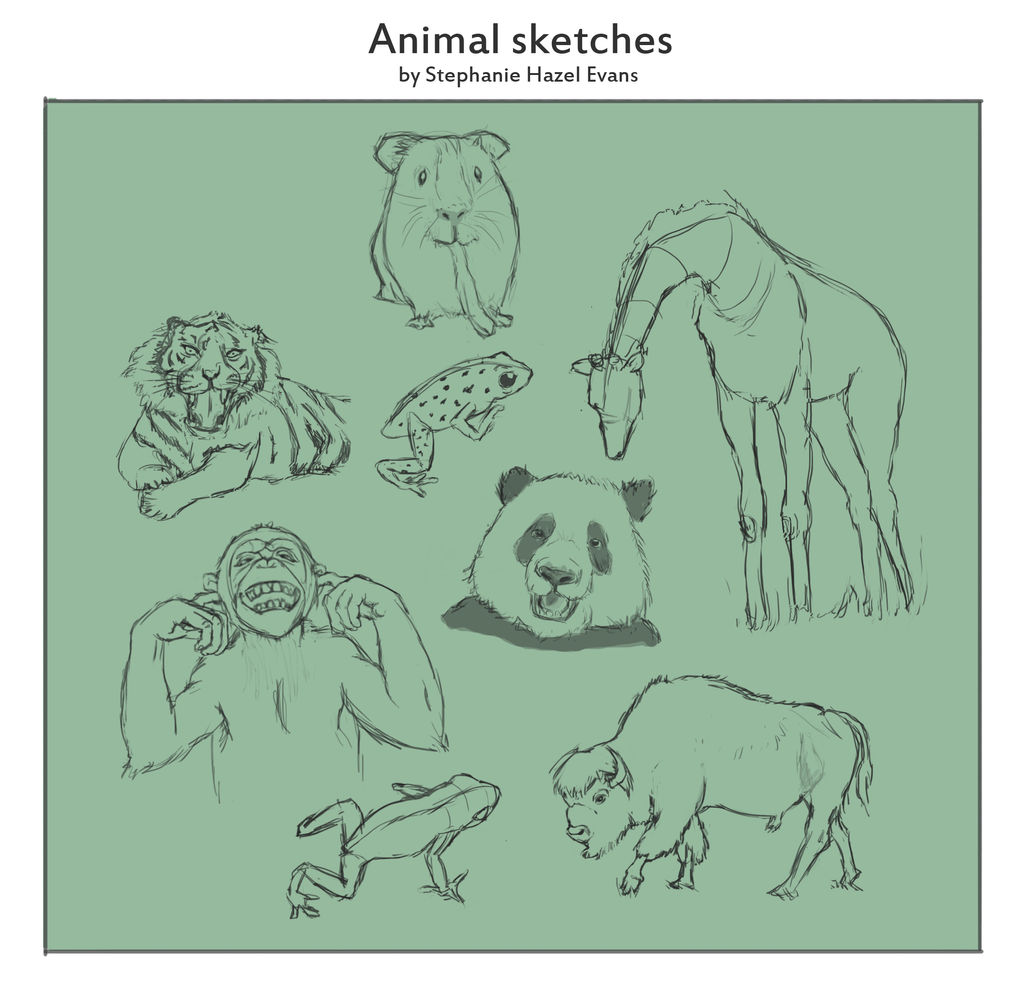 Animal sketchwork