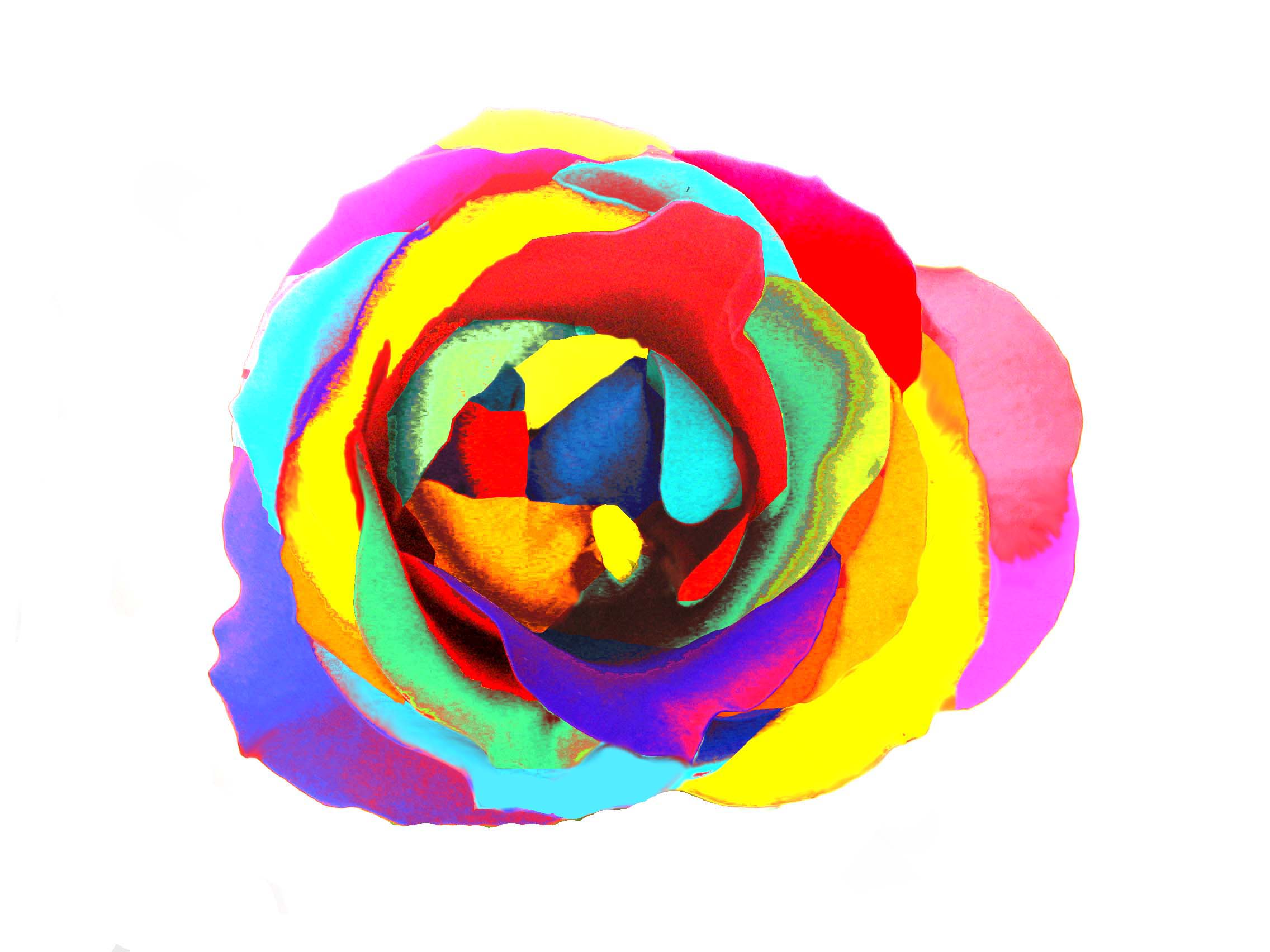 rainbow flower