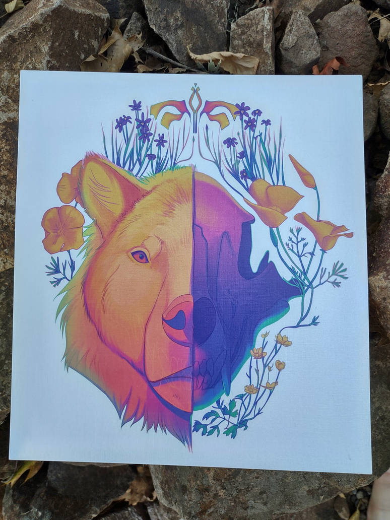 grizzly bear print by earthmidnight on DeviantArt