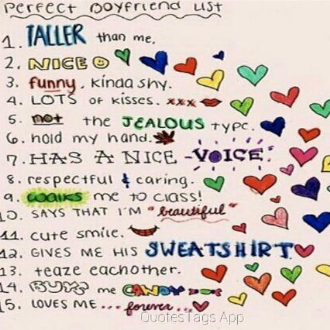 The Perfect Boyfriend List Its Missing A Few Thing By Blazefire111 On  Deviantart