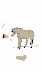 horse adopt ((open))