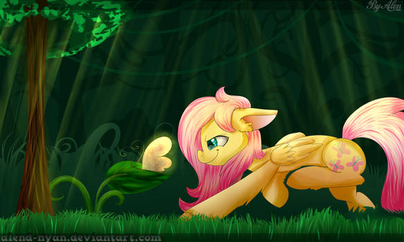 Fluttershy and Butterfly