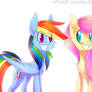 Fluttershy and Rainbow Dash smiling:3