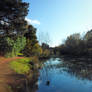 Cole River Richmond Tasmania