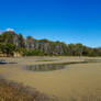 Parkers Beach Tasmania