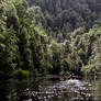 Donaldson River - West Coast Tasmania