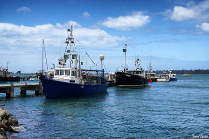 Fishing Boats - St Helens