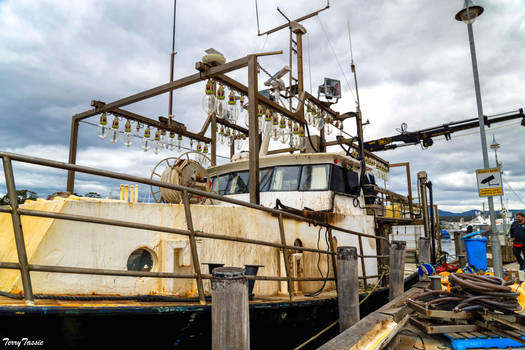 Fishing Boat - Triabunna