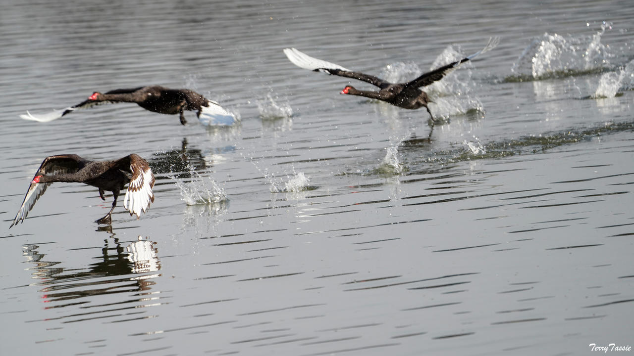 Walking on Water