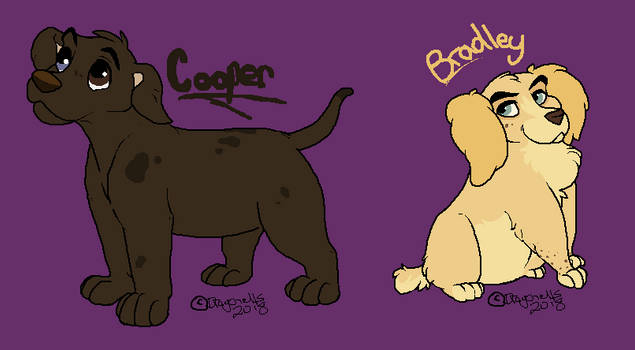 Dog Adopts: free