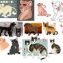 rehome group 8: OPEN