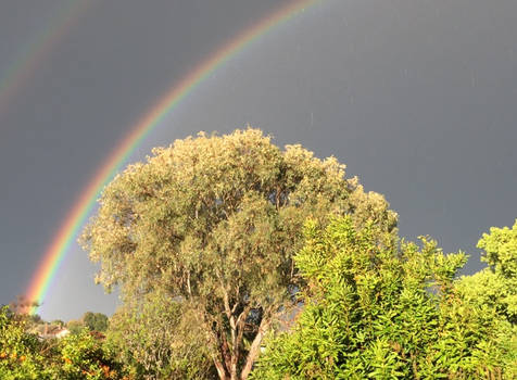 Rainbow split