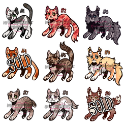 Warrior Cats Adopts! [7/9 OPEN]