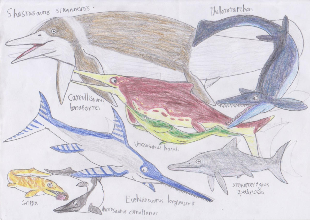 Ichthyosaurus Color Ichthyosaurs by NeoBaranguirus on DeviantArt