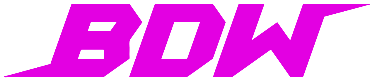 Bitchesdivaswrestling shop