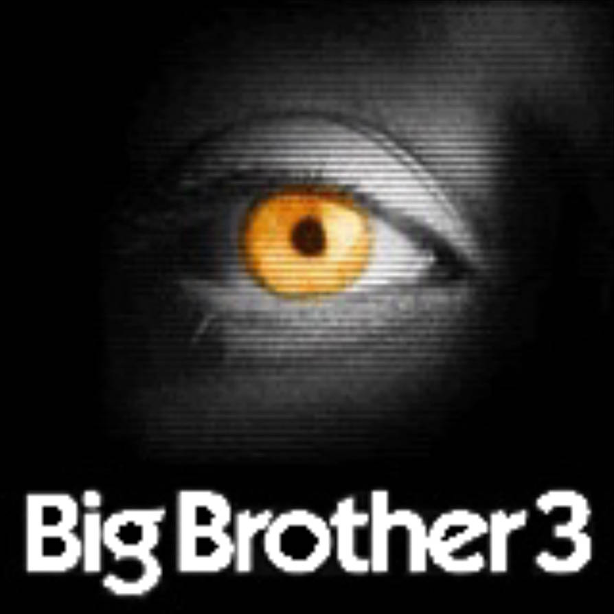 Big brother 3 3 5
