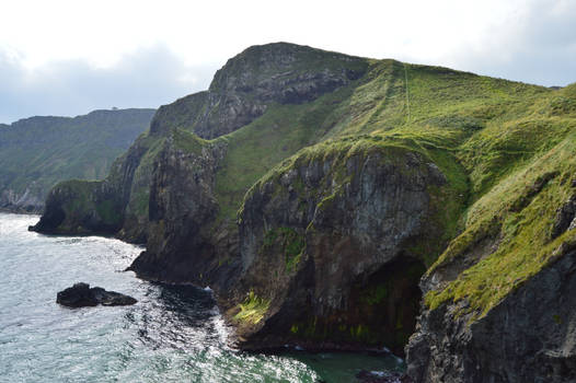 Carrick-A-Rede Rope Bridge 3141