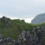 Carrick-A-Rede Rope Bridge 3238