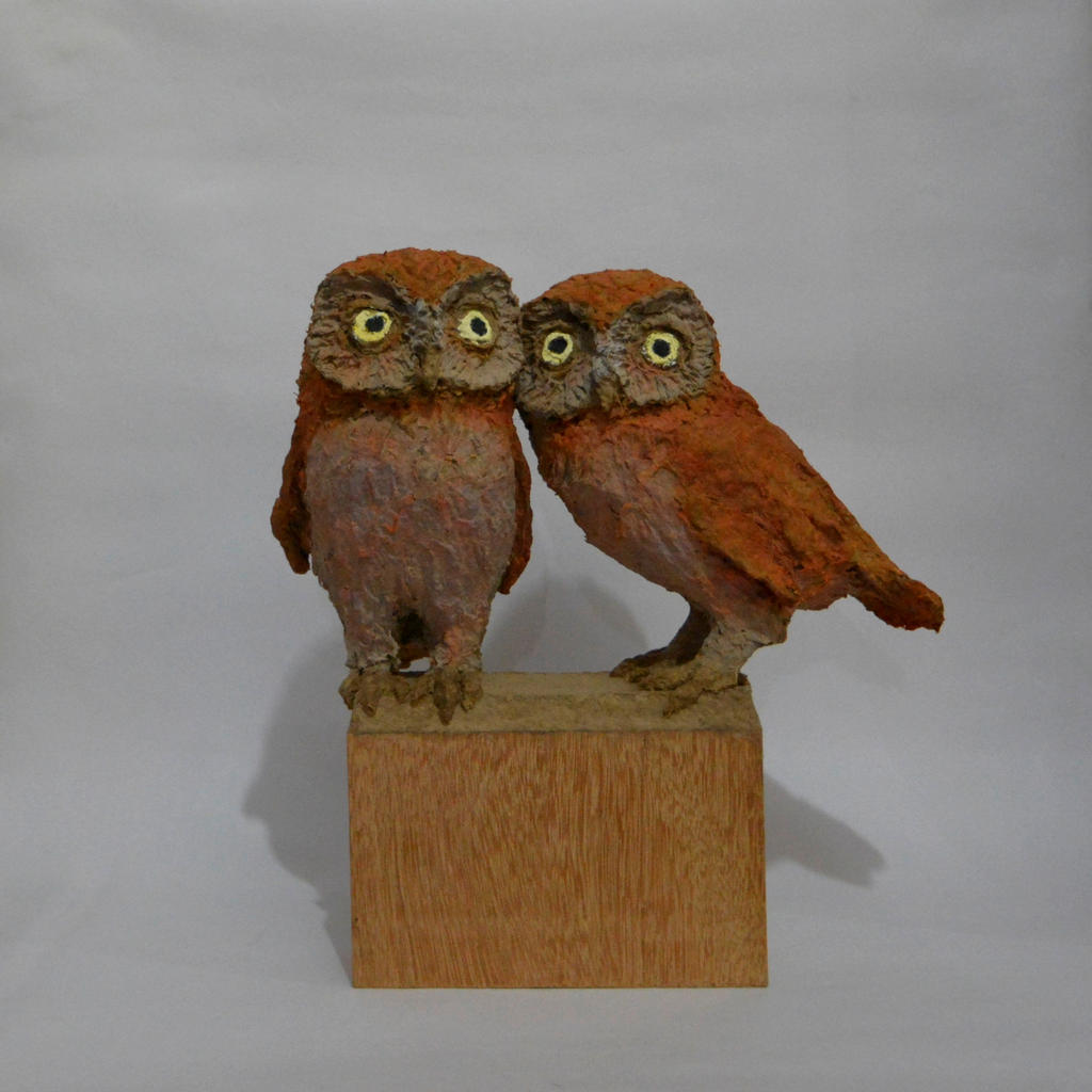 TROPICAL SCREECH OWLS