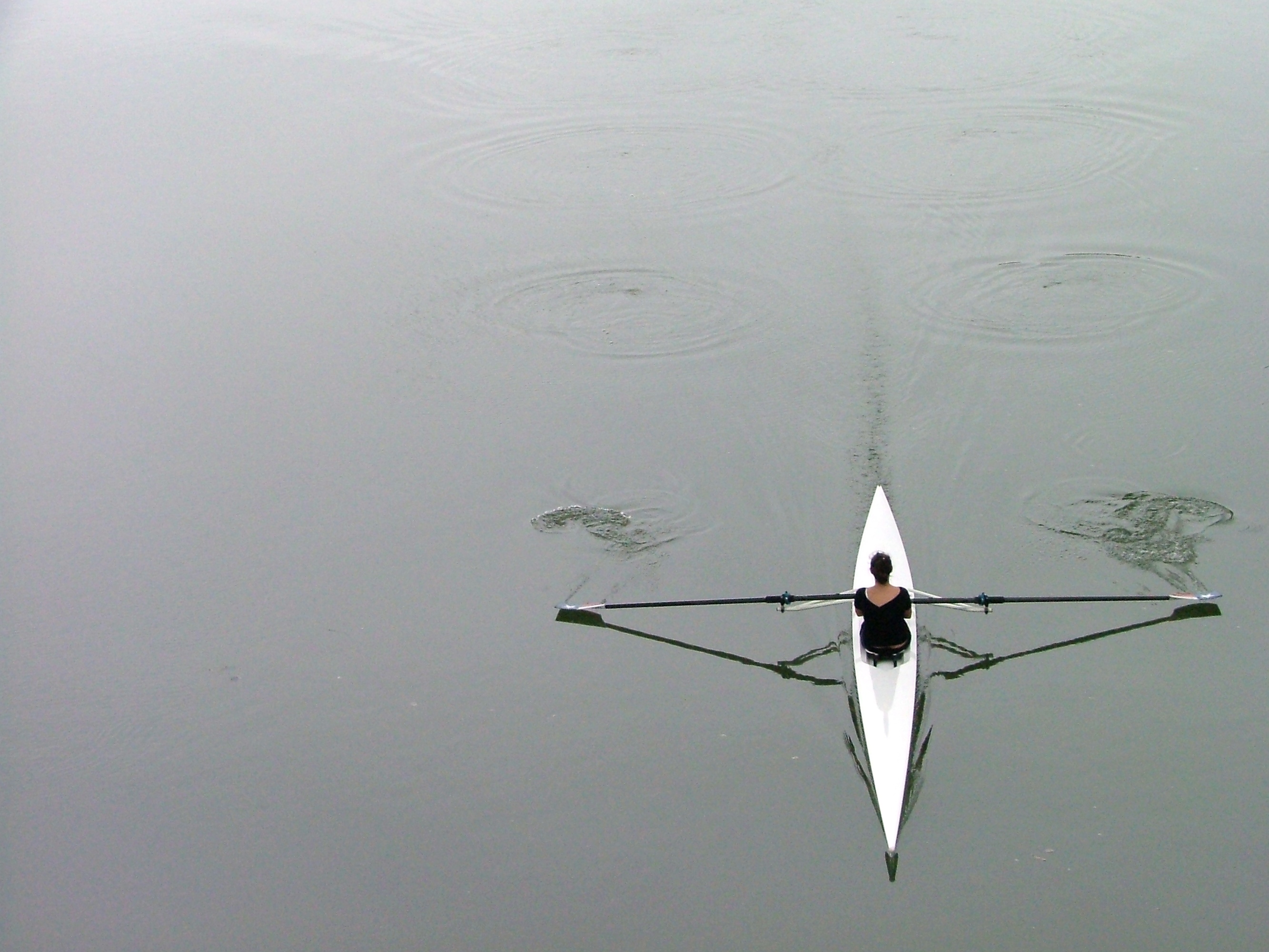 Sculling