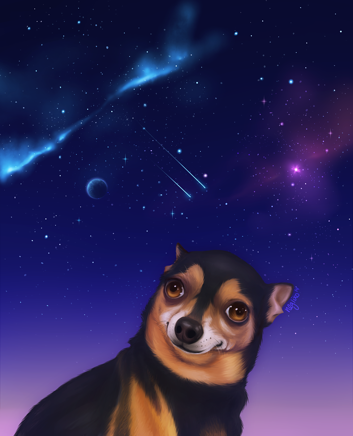 Spaceshakedogplz