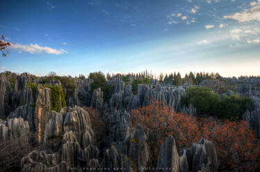 Stone Forest near Kunming