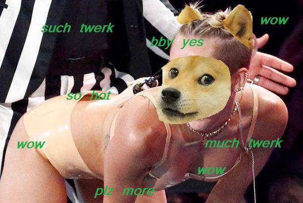 Twerk It Doge!!