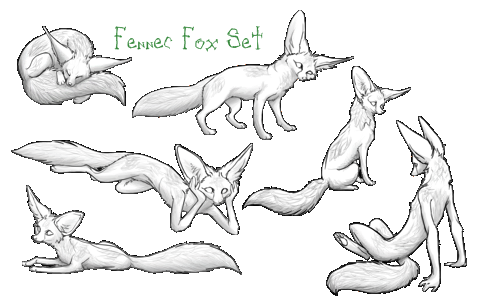 Fennec Fox Set Free by WinterWarfare on DeviantArt.