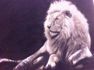 Lion in charcoal