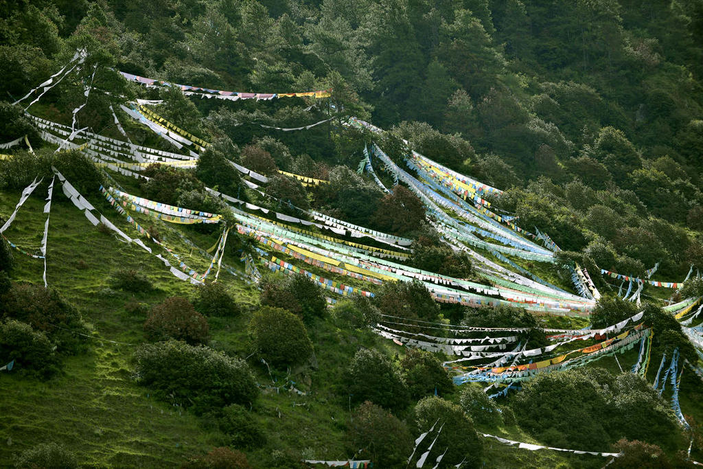 Linzhi, Tibet, China