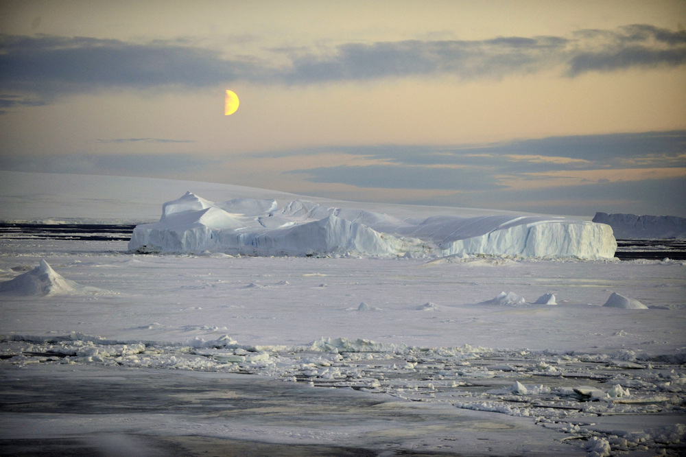 Antarctic