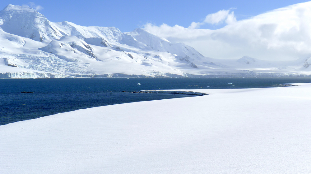 Antarctic