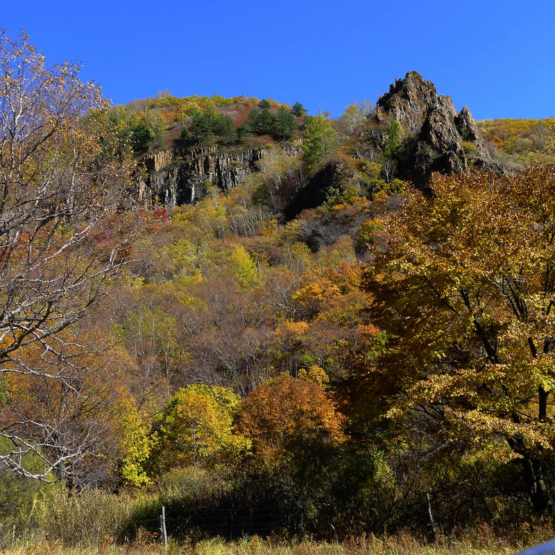 Bashang, Inner Mongolia, China