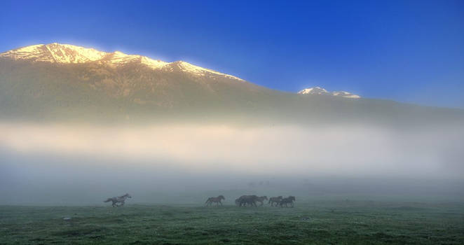 Kanas, Xinjiang by laogephoto