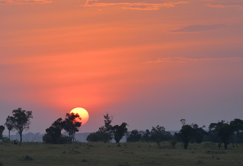 Tanzania Safari