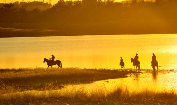 horse back riding1