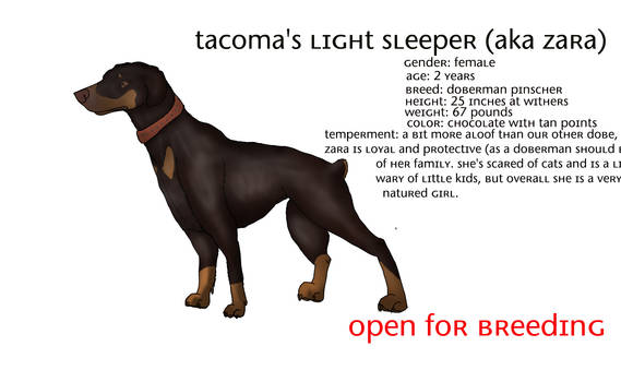 Tacoma's Light Sleeper