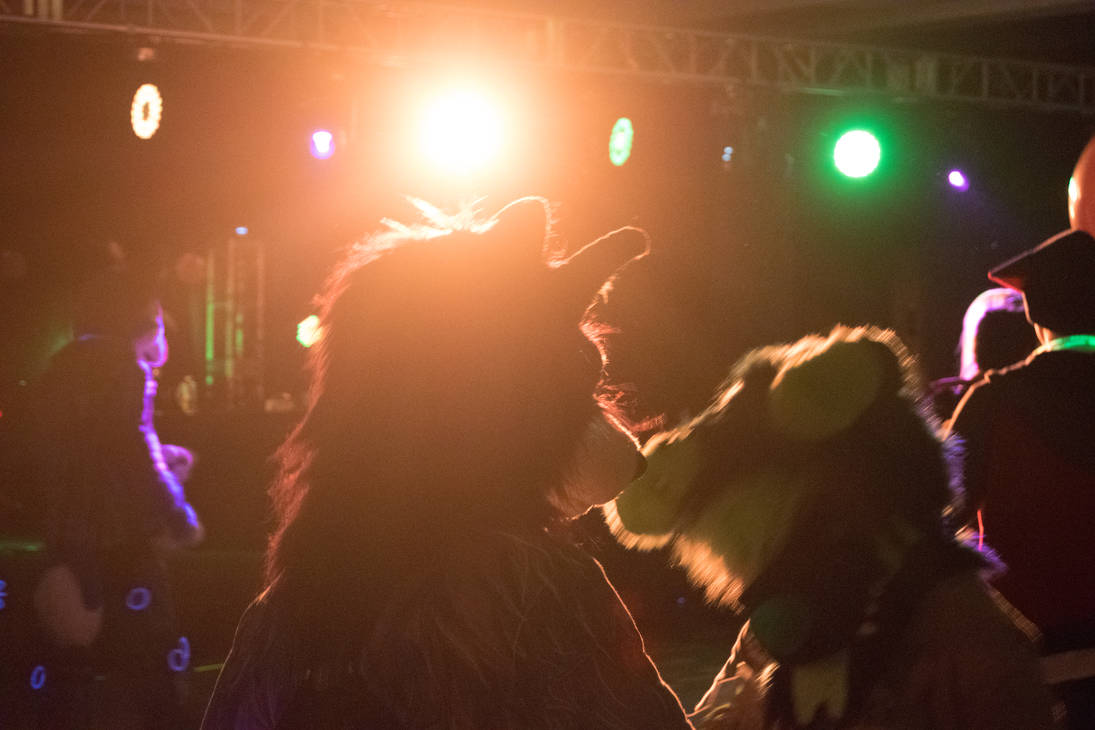 Fur Raves Furry Rave by PicDeer on DeviantArt