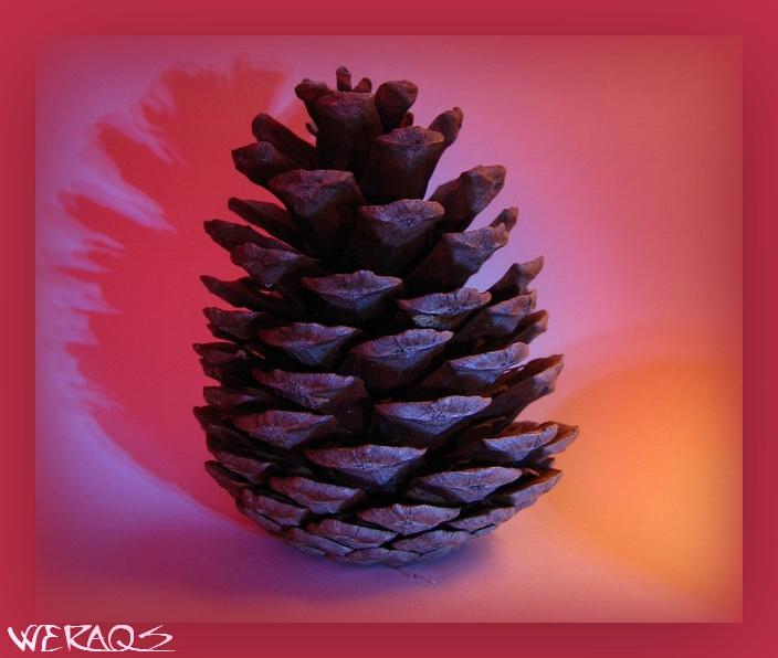 reloaded-pine cone