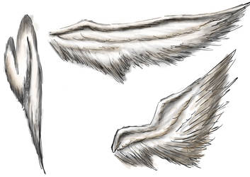 angel wings sketch