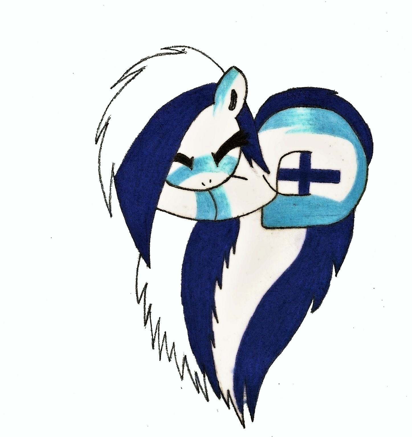 Finnish Pony Heart