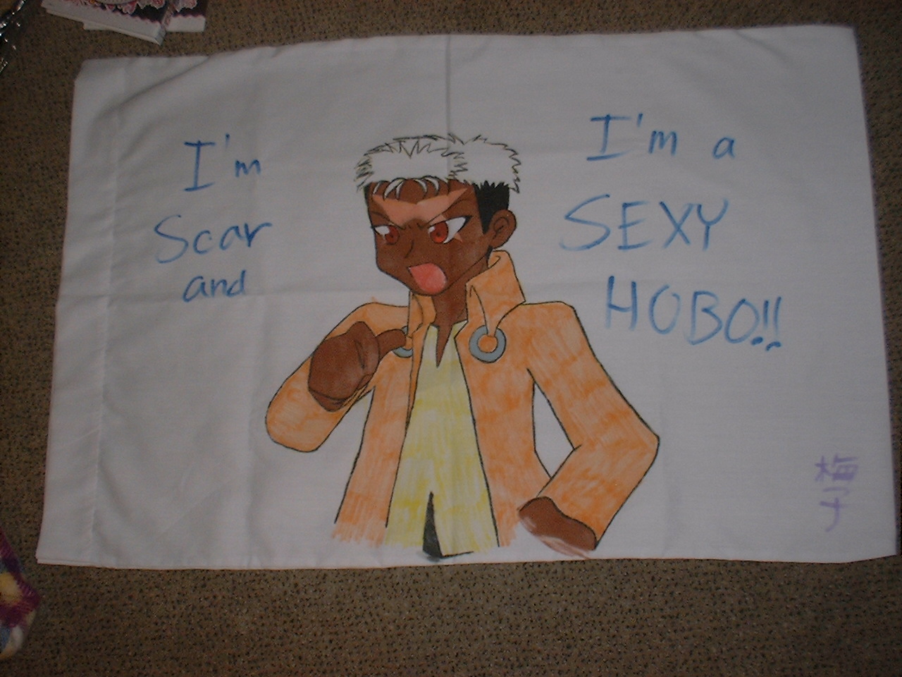 Sexy Hobo Pillowcase