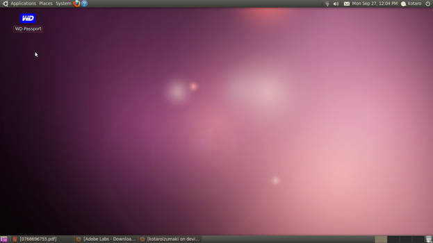 Ubuntu 10.4