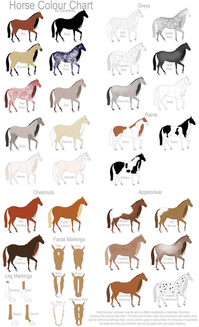Quarter Horse Color Chart