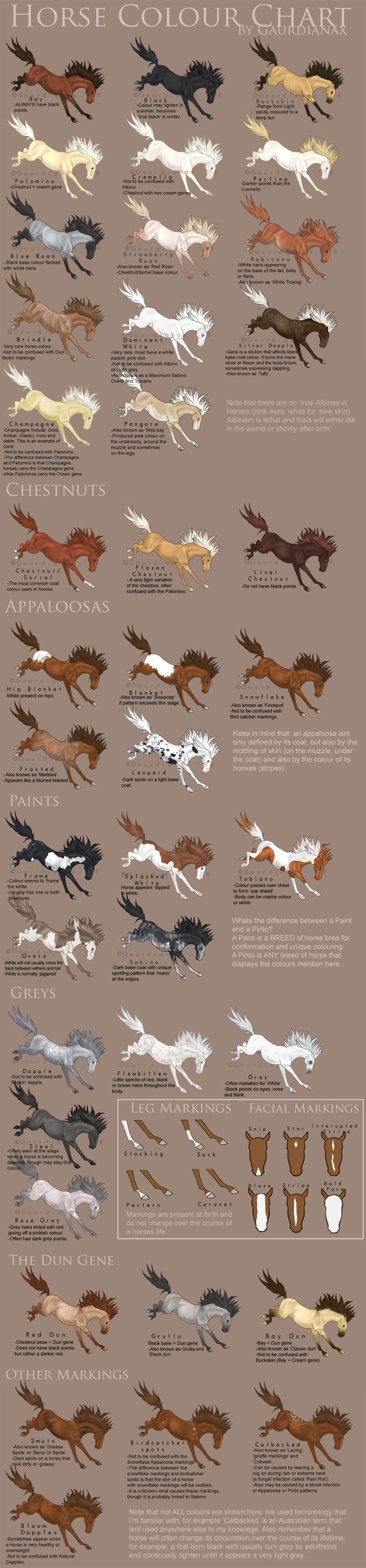 Horse Colour Chart vs 2