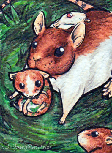 ACEO Rat