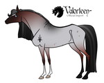 Valorteen Import: F14 by MiscNapier