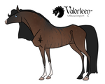 Valorteen Import: F33 by MiscNapier