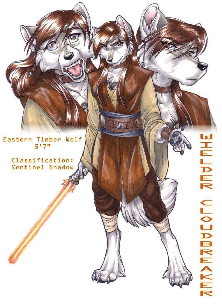 Wielder Cloudbreaker Jedi Reference Sheet by wielderofthewind on DeviantArt