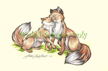 Spring Foxes by wielderofthewind